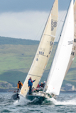 oystercatcher 3245c vaila ber8 machismo ii gbr8274 whyw16 thur 800 3813w